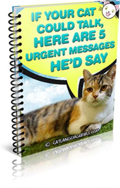 Cat Language Bible