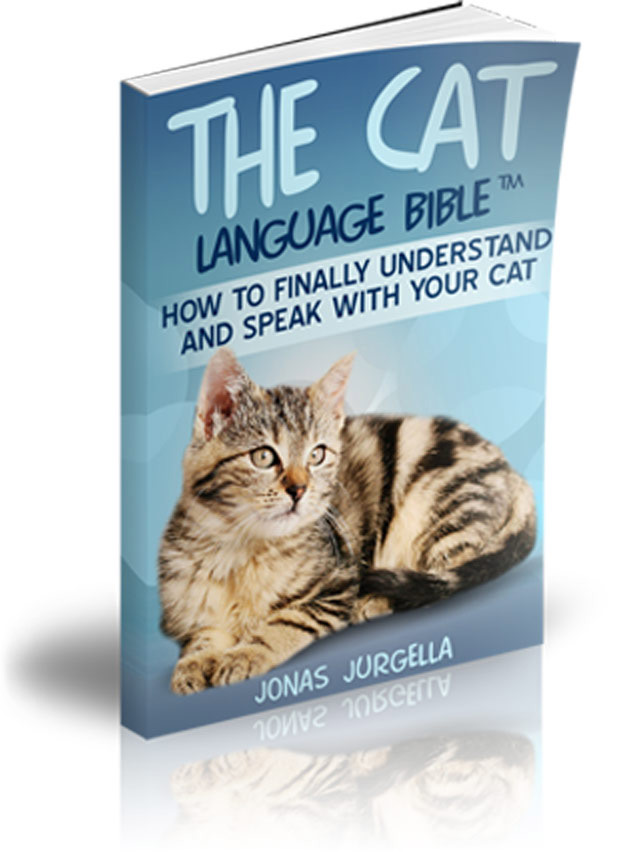 Cat Language Bible